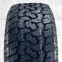 Warrior Terra T:A 02.webp